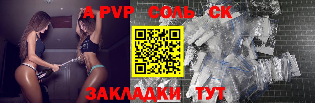 Alfa_PVP СК КРИС Урус-Мартан