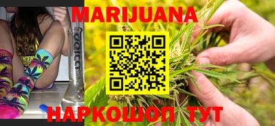 крисы Пенза