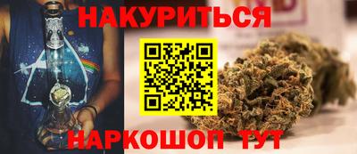 крисы Пенза