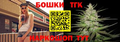 индика Пушкино
