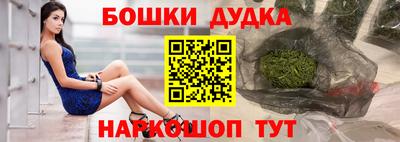 крисы Пенза