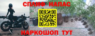 круглые Пугачёв