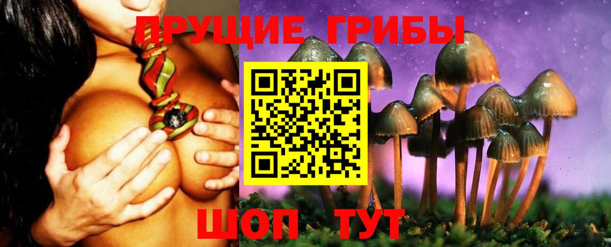Галлюциногенные грибы Psilocybe Урус-Мартан