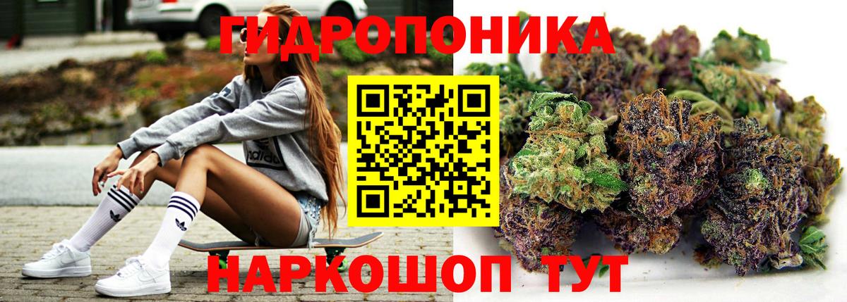 МАРИХУАНА план Урус-Мартан